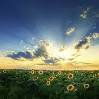 問不下，從蕭山到河南周口市項城市是多少錢一噸