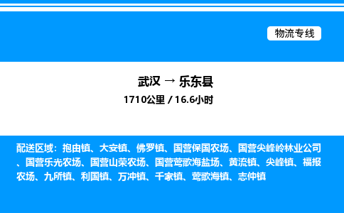 武漢到樂(lè)東縣物流專(zhuān)線-武漢至樂(lè)東縣貨運(yùn)公司